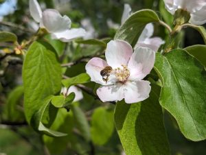 Paardynamik – Eine Reinszenierung mit Hoffnung auf Heilung